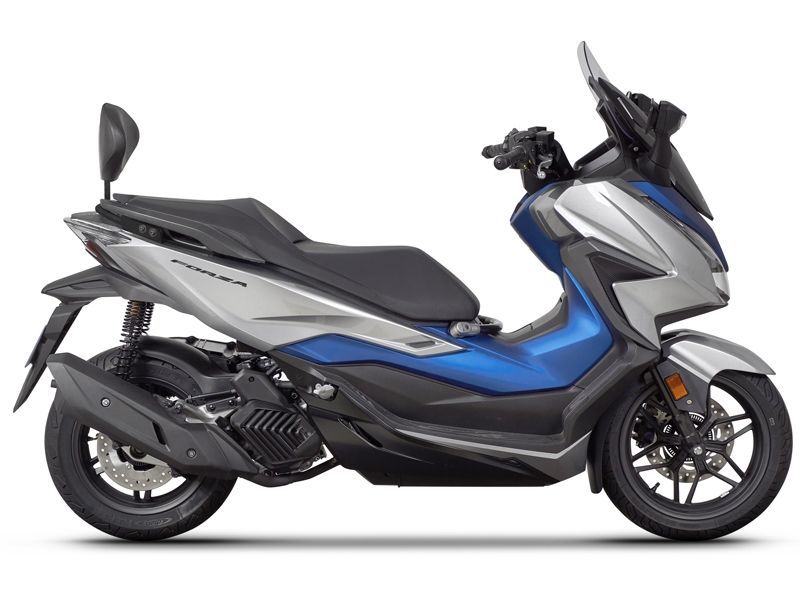 Honda Forza 125/250/350 (21-23)Sırt Dayama  Sissybar (Shad )